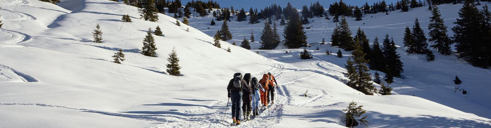 Bed And Breakfast - Die Aelplersuit Fuer Backpackers Im Berghuesli Linthal Экстерьер фото